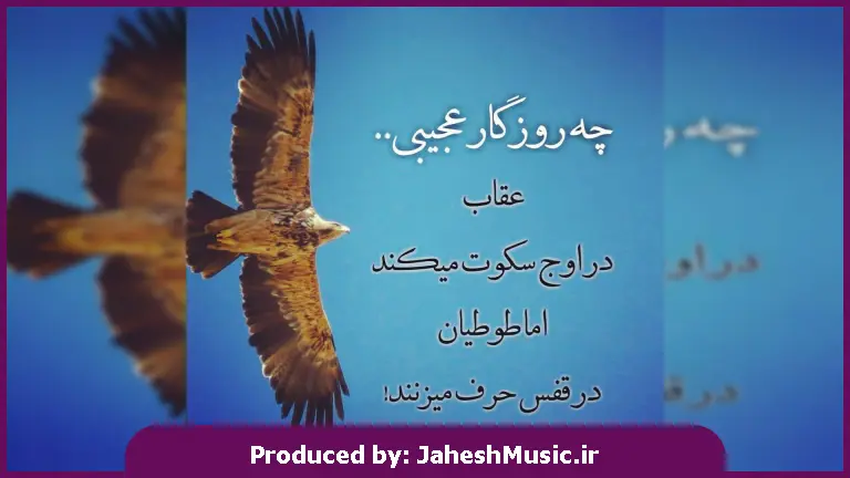 دانلود آهنگ افغانی بیا که در بغل تنگت بگیرم 
